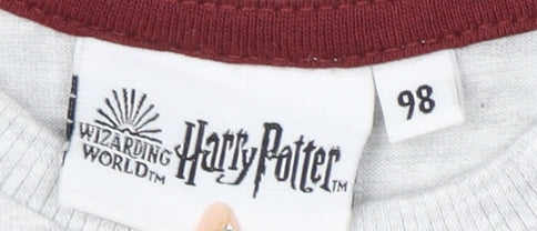 Harry Potter Boys Grey Cartoon Long Sleeve T-Shirt 2-3 Years