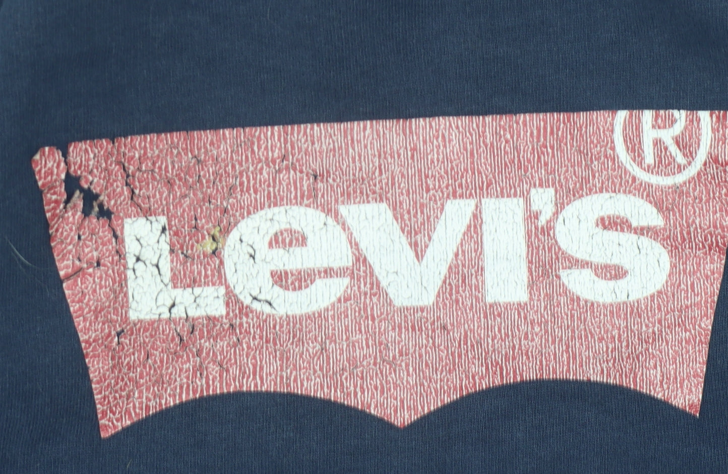 Additional view of Levi's boys’ blue pullover hoodie - 16 years, graphic logo