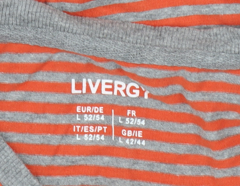 Livergy Men's Multicoloured Striped T-Shirt L