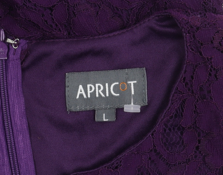 Apricot Women's Purple Lace Long Sleeve Dress L
