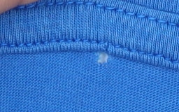 Reebok Men's Blue 2XL Graphic Logo Crew Neck Sports T-Shirt