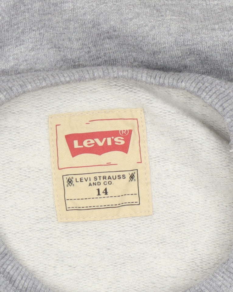 Brand and care label for Levi's boys’ grey logo crew neck fleece sweatshirt, size 14, years