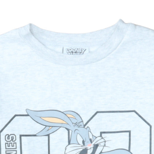 Mens UK Size S Looney Tunes Grey Pullover Sweatshirt