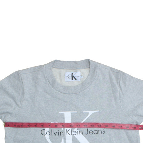 Mens UK Size M Calvin Klein Jeans Grey Pullover Sweatshirt