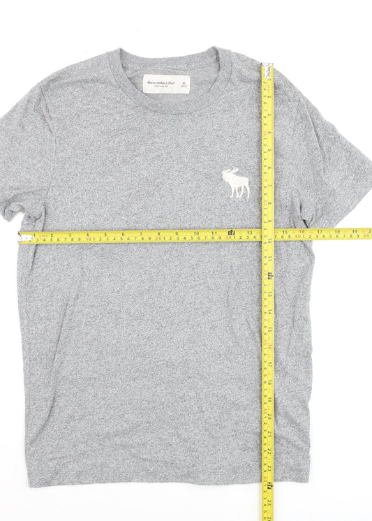 Abercrombie & Fitch Men's Grey XS Crew Neck Soft T-Shirt