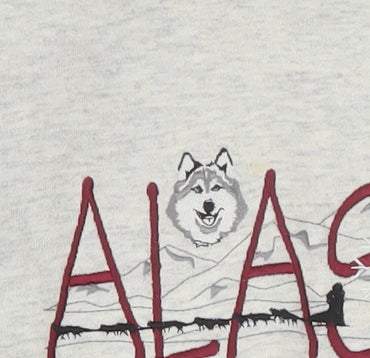 Top Threads Men's Grey Alaska Embroidered Pullover Sweatshirt Size L