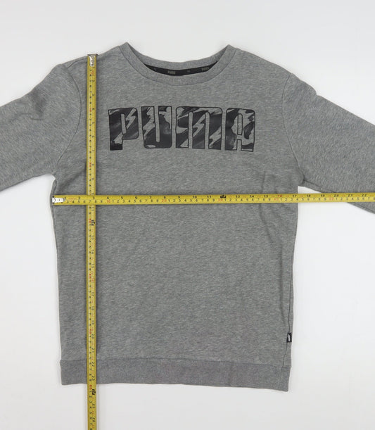 Puma Boys Grey Logo Crew Neck Pullover Sweatshirt 13-14 Years