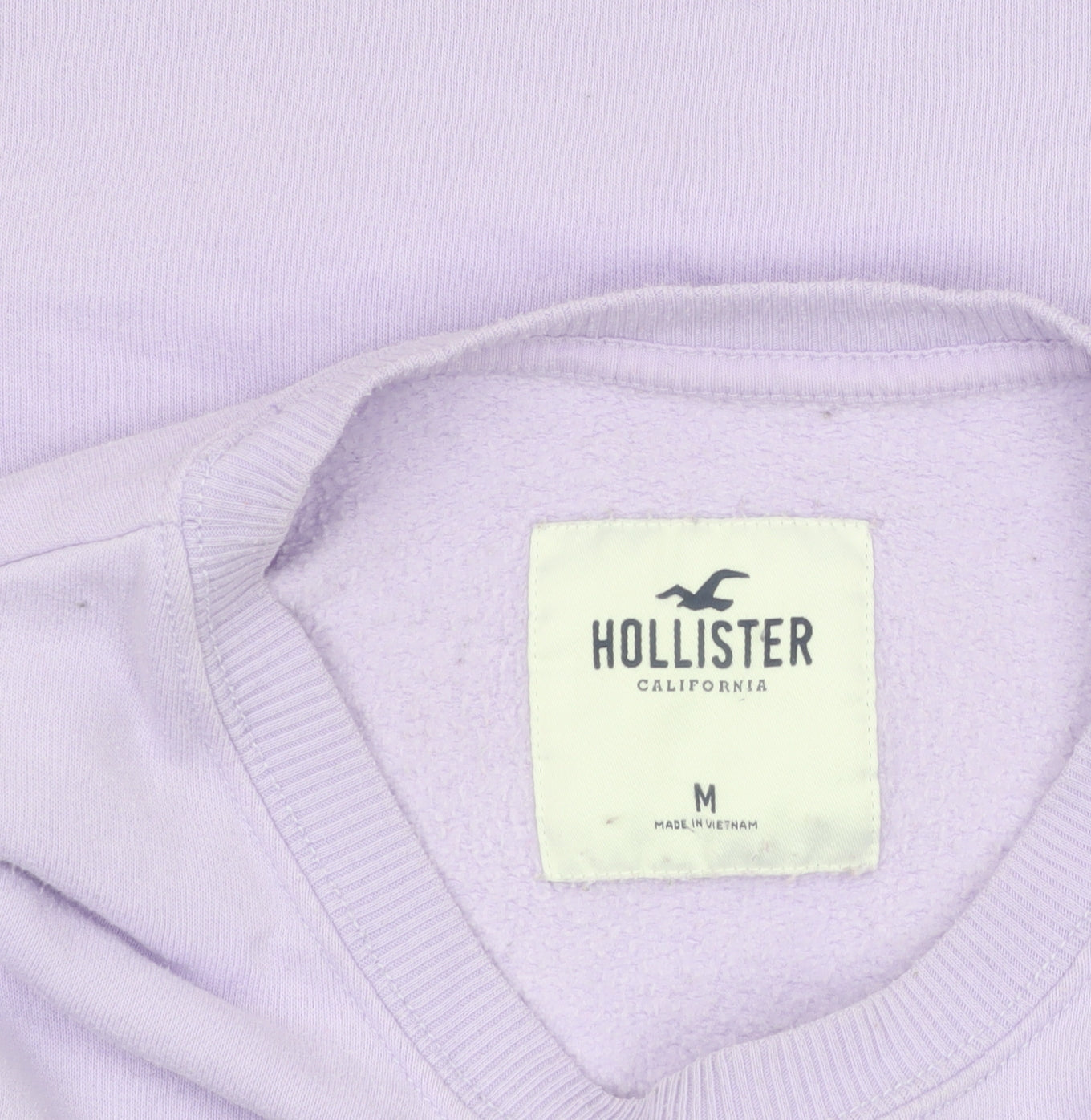 Hollister Women Purple Santa Monica Crew Neck Sweatshirt M
