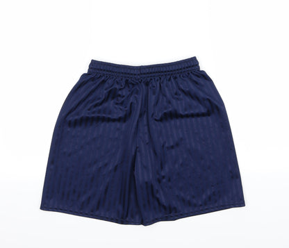 Preworn Mens Blue Striped  Sweat Shorts Size S