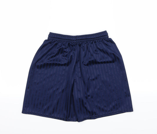 Preworn Mens Blue Striped  Sweat Shorts Size S