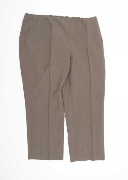 BM Collection Womens Brown  Rayon Trousers  Size 16 L24 in