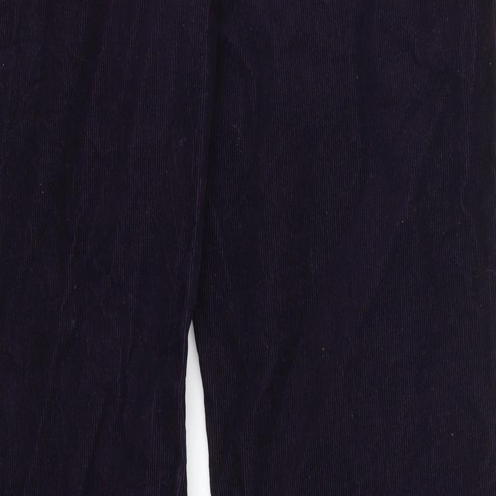 Womens UK Size 32 Ann Taylor Regular Fit  Purple Trousers