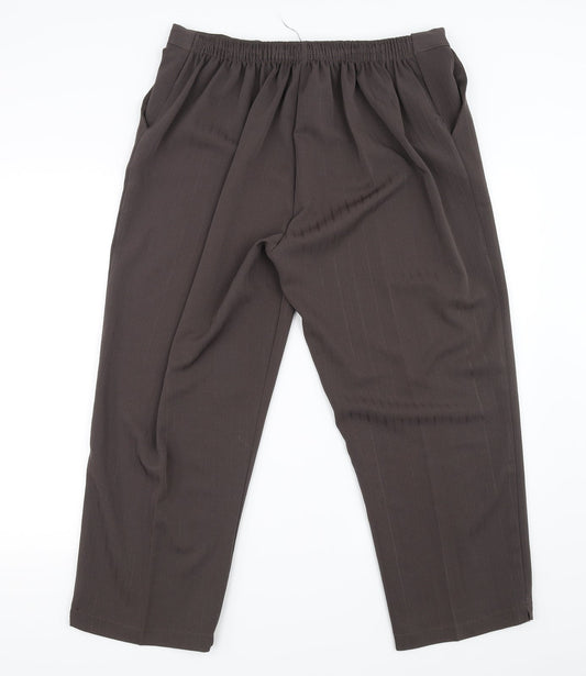 Womens UK Size 22 in Preworn Regular Fit  Brown Trousers