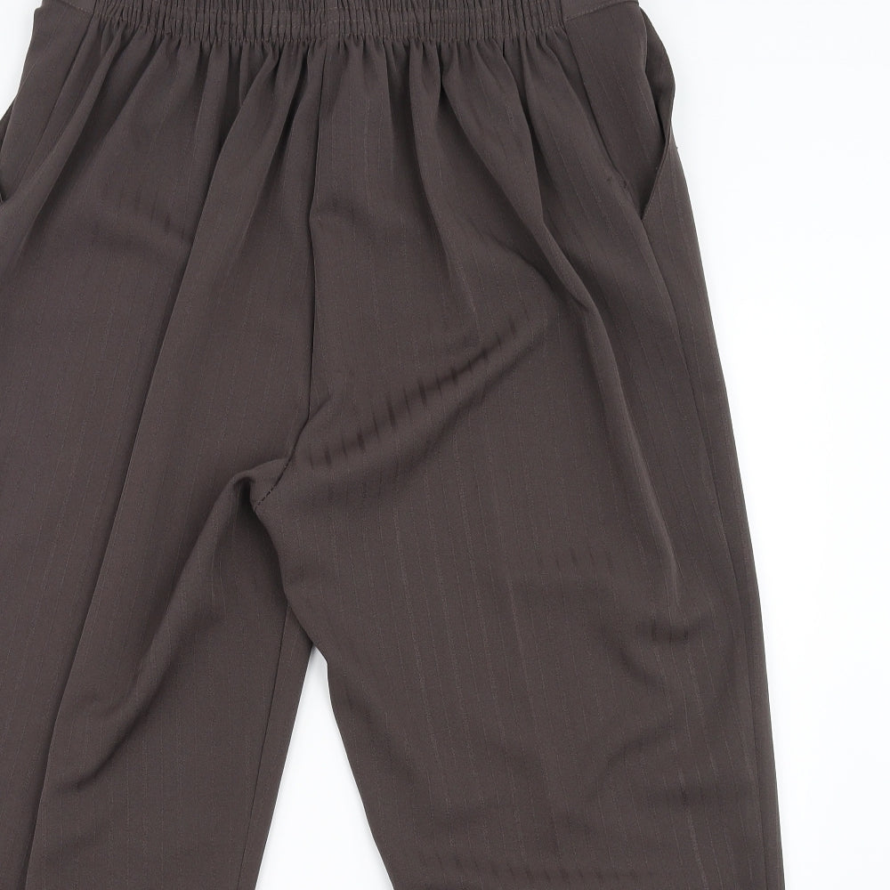Womens UK Size 22 in Preworn Regular Fit  Brown Trousers