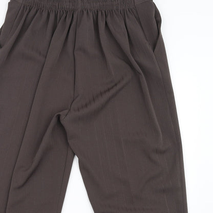 Womens UK Size 22 in Preworn Regular Fit  Brown Trousers