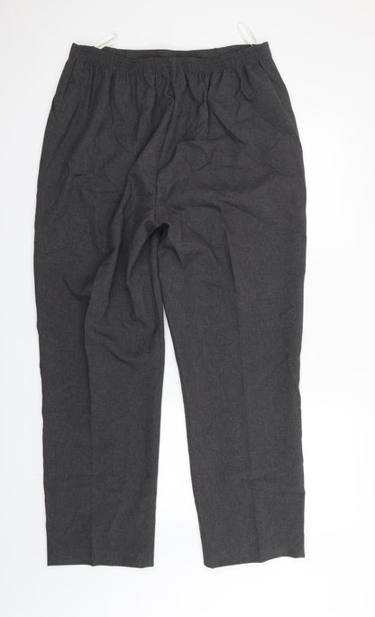 Womens UK Size 20 Sarah Hamilton Regular Fit Dress Pants Grey Trousers