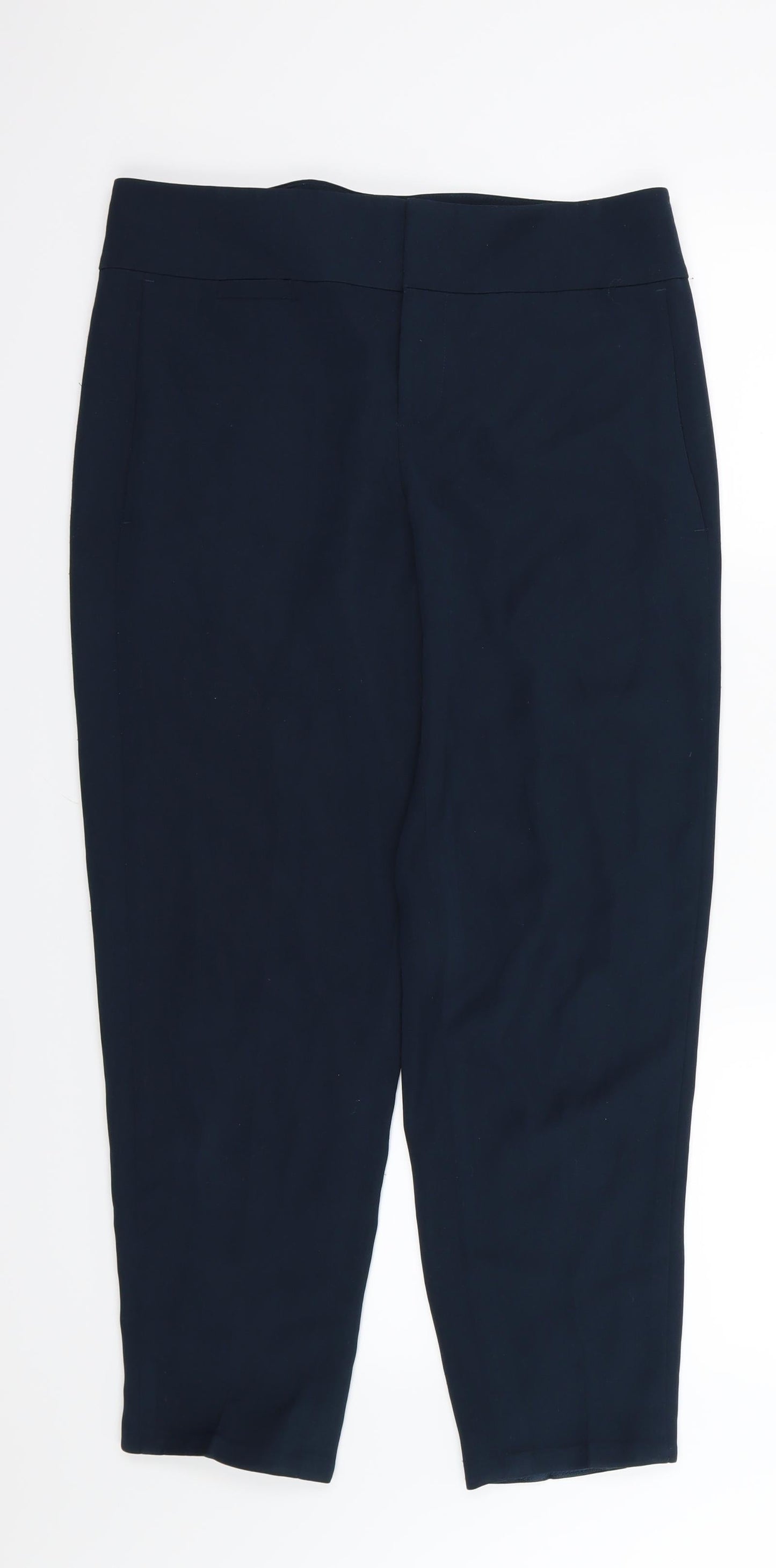 Ann Taylor Womens Green  Rayon Trousers  Size 10 L27 in