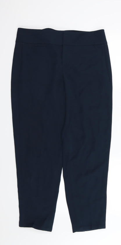 Ann Taylor Womens Green  Rayon Trousers  Size 10 L27 in