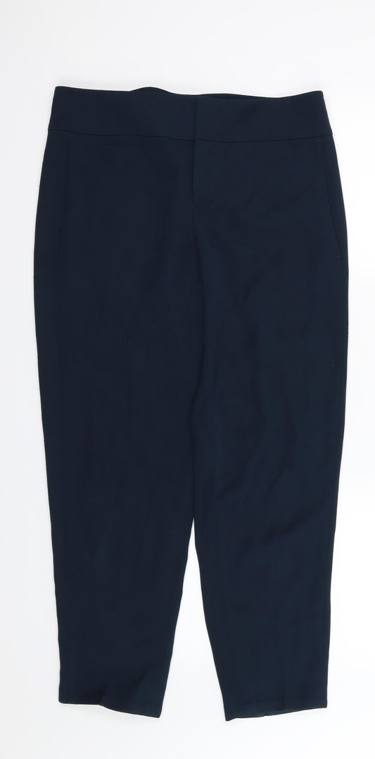 Ann Taylor Womens Green  Rayon Trousers  Size 10 L27 in