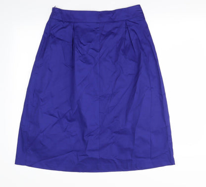 R Womens Blue   Flare Skirt Size 12