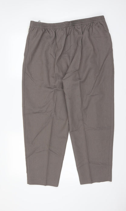 Womens UK Size 20 Berketex Regular Fit  Brown Trousers