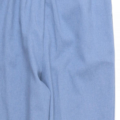 Allison Daley Womens Blue  Rayon Trousers  Size 18 L30 in