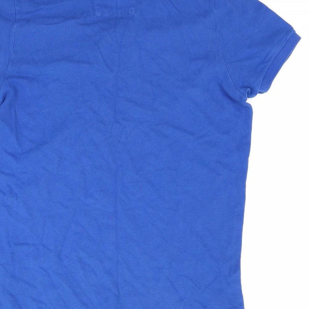 Hollister Mens Blue    Polo Size S