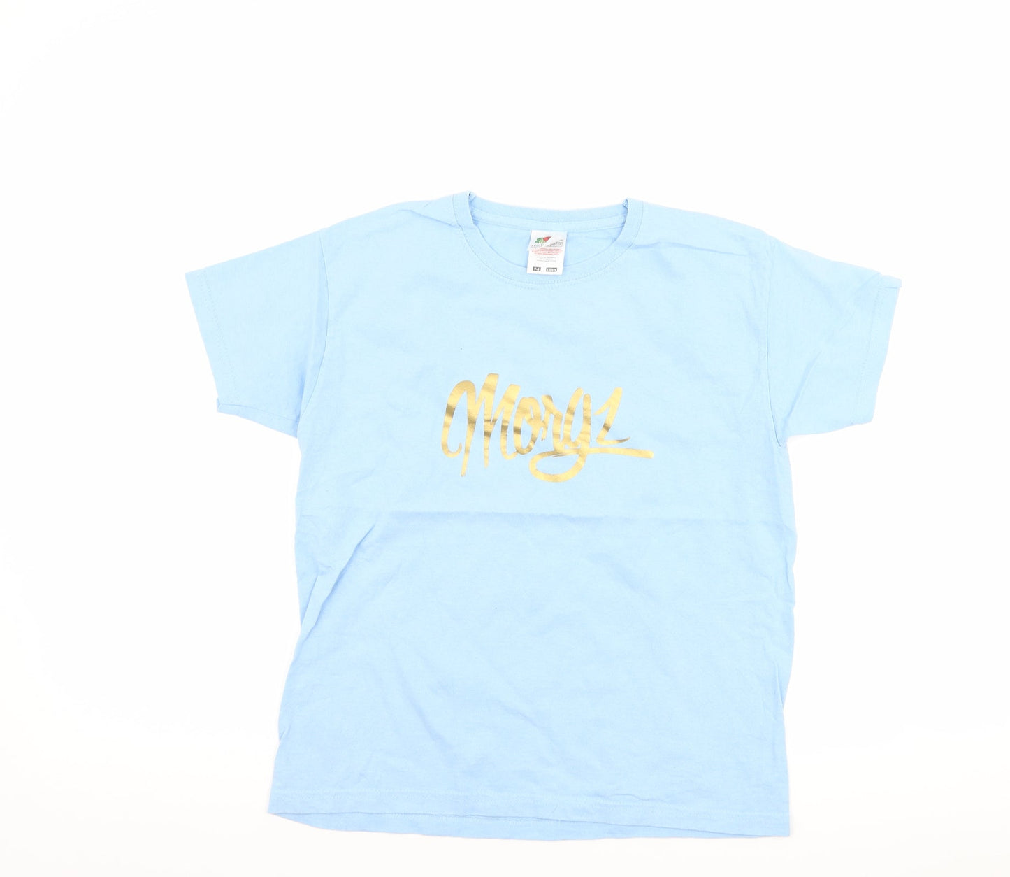 Fruit of the Loom Boys Blue   Basic T-Shirt Size 7-8 Years  - slogan