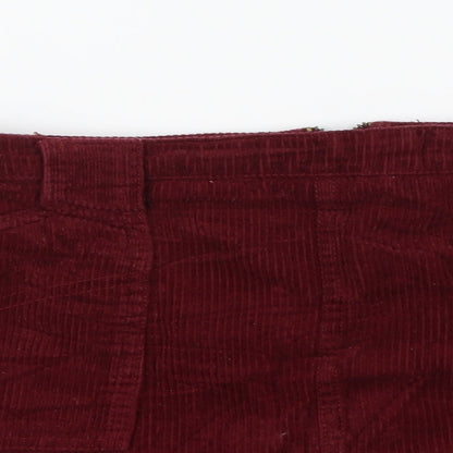 BDG  Womens Purple   A-Line Skirt Size 28 in