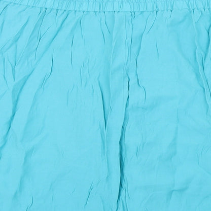 Preworn Womens Blue   A-Line Skirt Size L