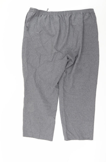 Preworn Womens Grey   Trousers  Size 20 L24 in