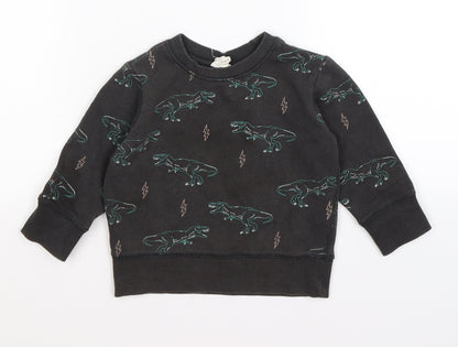 cotton kids Boys Grey  Jersey Pullover Jumper Size 12-18 Months  - dinosaurs