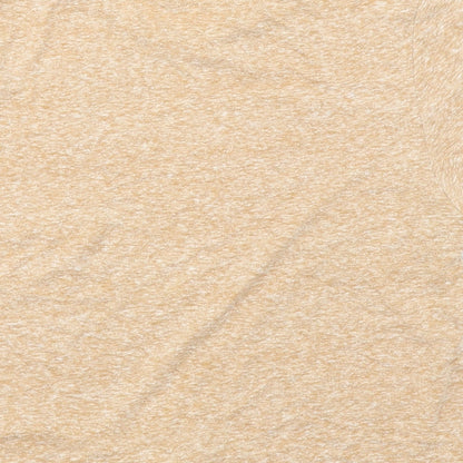 Primark Womens Brown   Cropped T-Shirt Size XS