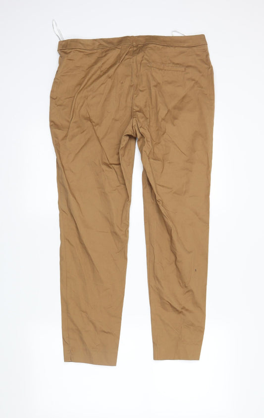Womens UK Size 14 Dorothy Perkins Regular Fit  Brown Trousers