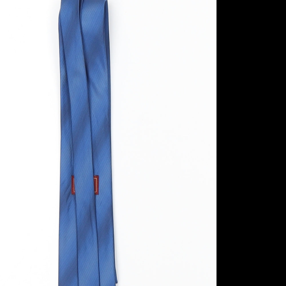 Mens Burton Blue Striped  Pointed Tie