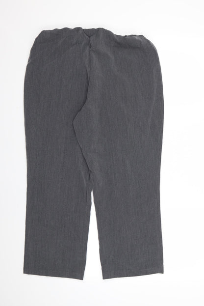 BM Casual Womens Grey  Rayon Dress Pants Trousers Size 14 L23 in