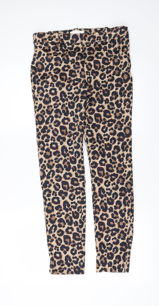 Womens UK Size 8 H&M Regular Fit  Brown Trousers