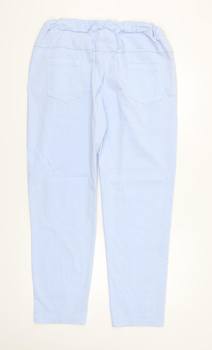Womens UK Size 32 in Preworn Regular Fit  Blue Trousers