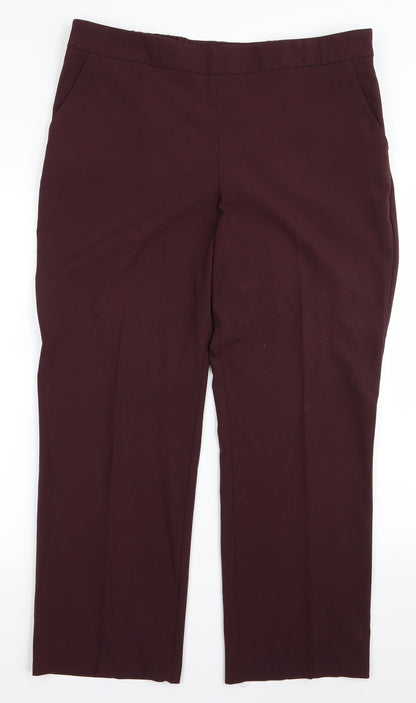 Classic Womens Brown   Trousers  Size 16 L23 in