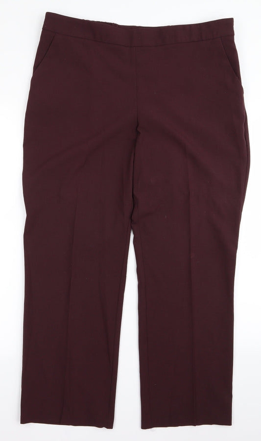 Classic Womens Brown   Trousers  Size 16 L23 in