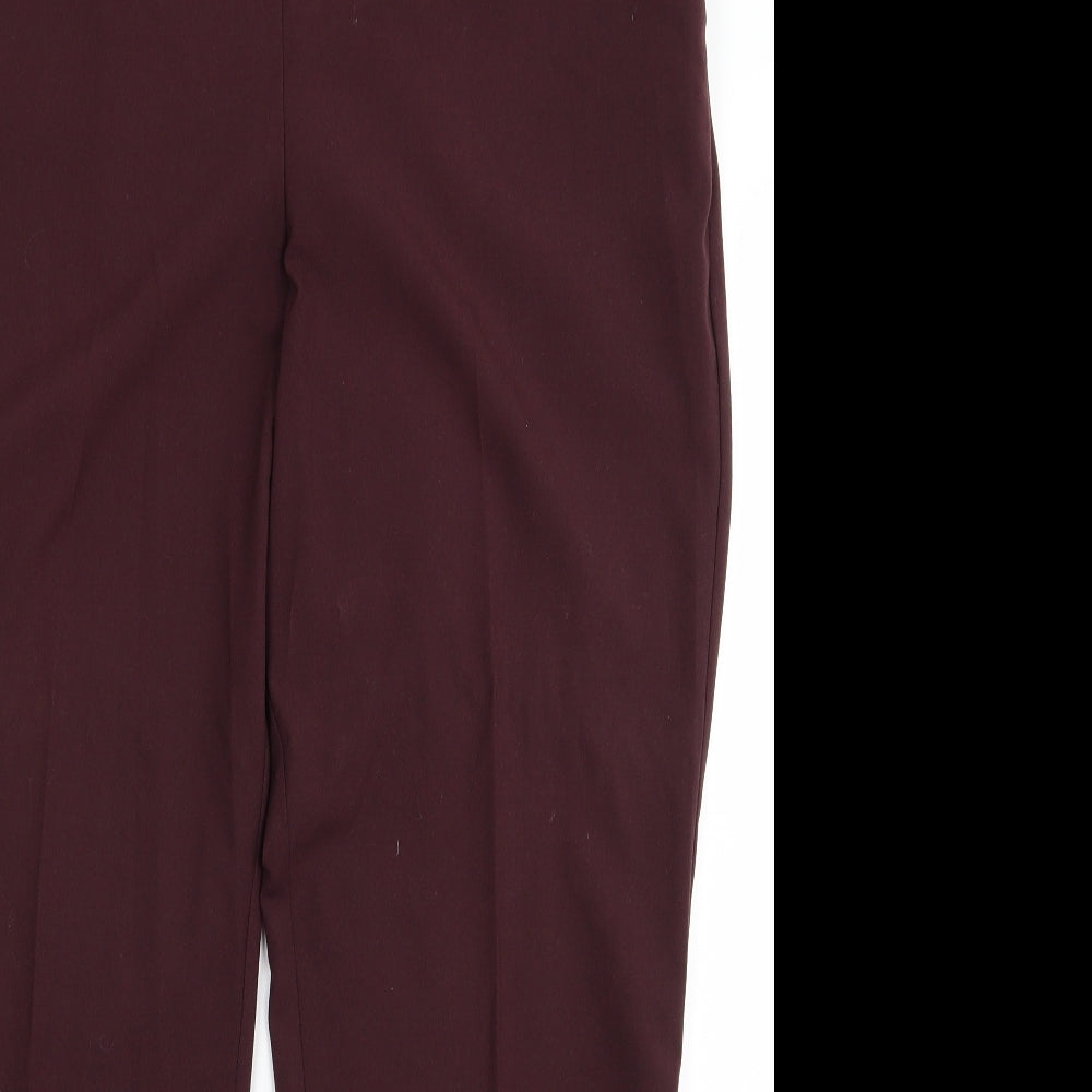 Classic Womens Brown   Trousers  Size 16 L23 in