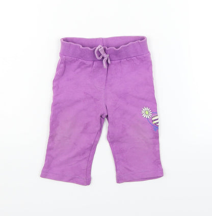 bc baby Girls Purple   Jogger Trousers Size 6-9 Months