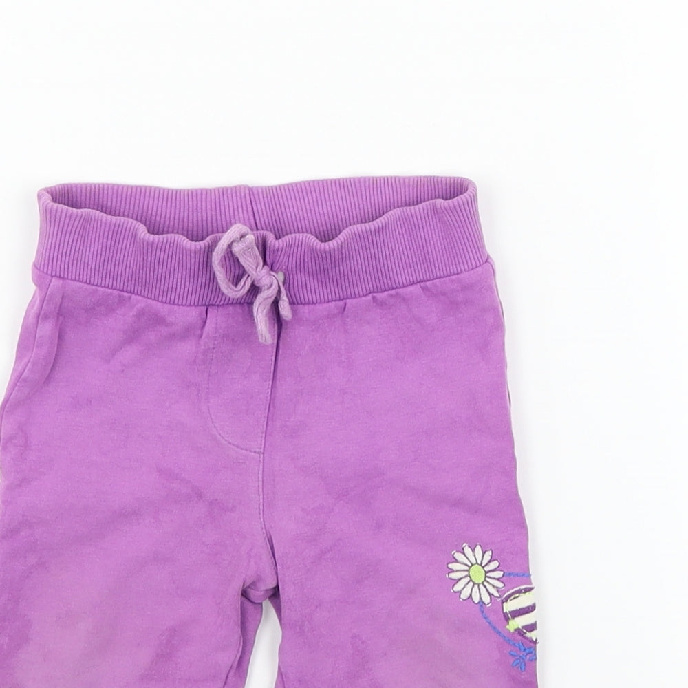 bc baby Girls Purple   Jogger Trousers Size 6-9 Months