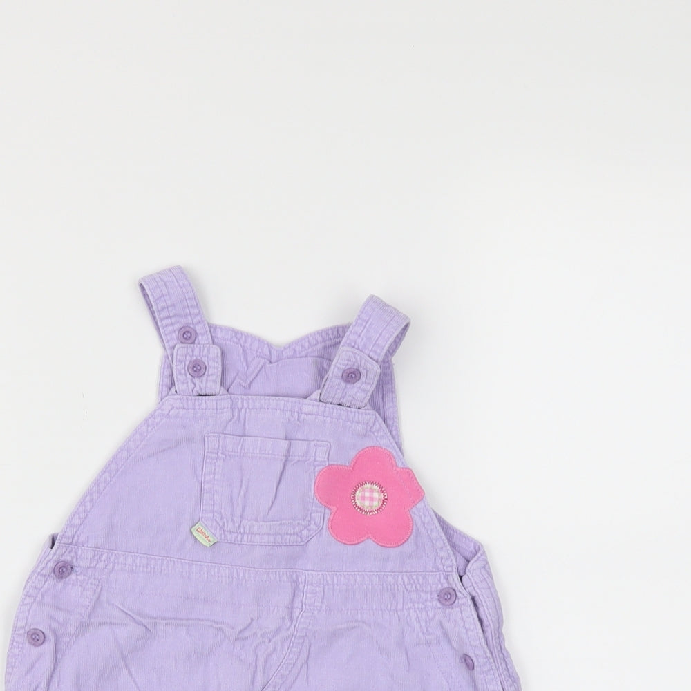 Cherokee Girls Blue   Fit & Flare  Size 9-12 Months