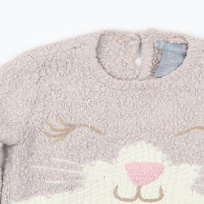 Preworn Girls Pink  Knit Pullover Jumper Size 2 Years  - Cat