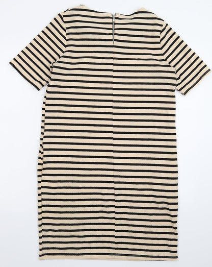 Dorothy Perkins Womens Beige Striped  Bodycon  Size 10