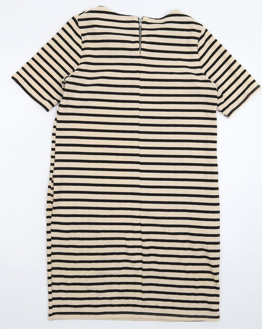 Dorothy Perkins Womens Beige Striped  Bodycon  Size 10