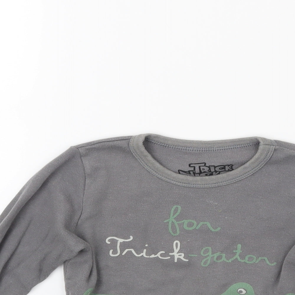 Trick nick Boys Grey   Pullover Sweatshirt Size 4 Years  - Crocodile