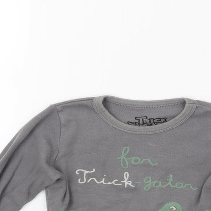 Trick nick Boys Grey   Pullover Sweatshirt Size 4 Years  - Crocodile