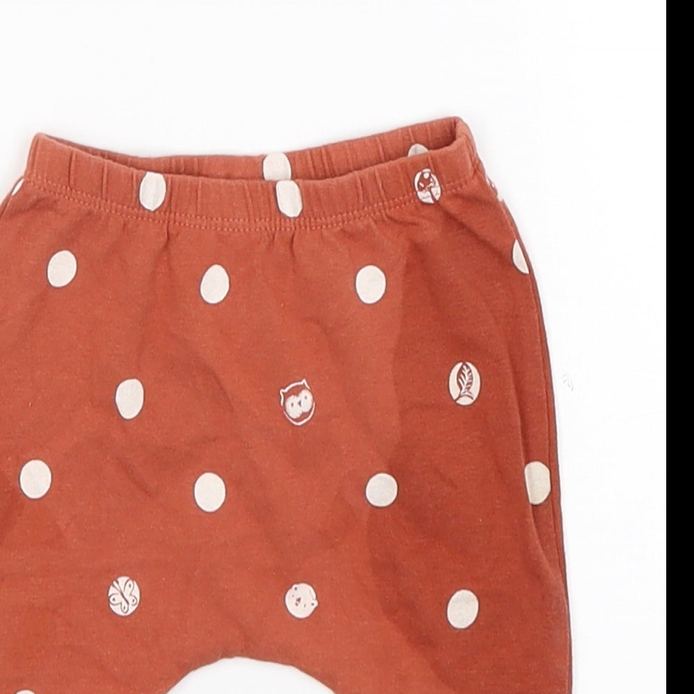 Next Baby Baby Brown   Sweatpants Trousers Size 0-3 Months